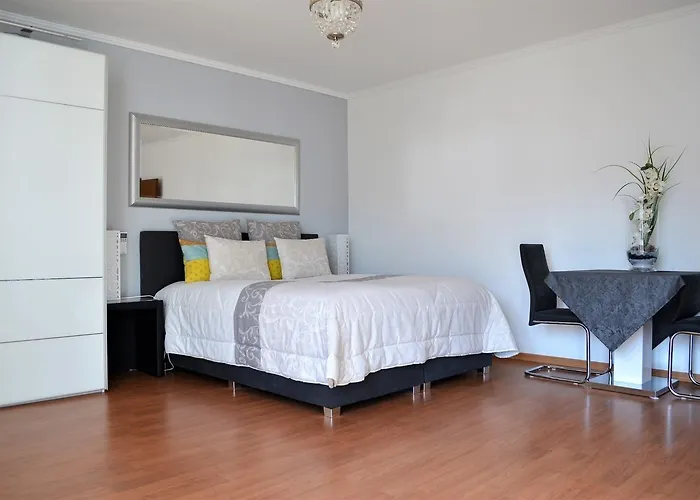 Pmc Business Apartmán Rüsselsheim