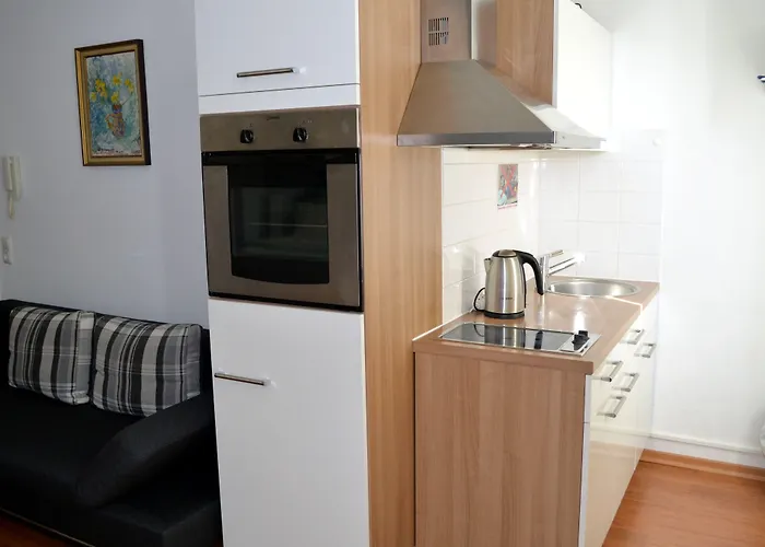 Apartmán Pmc Business *