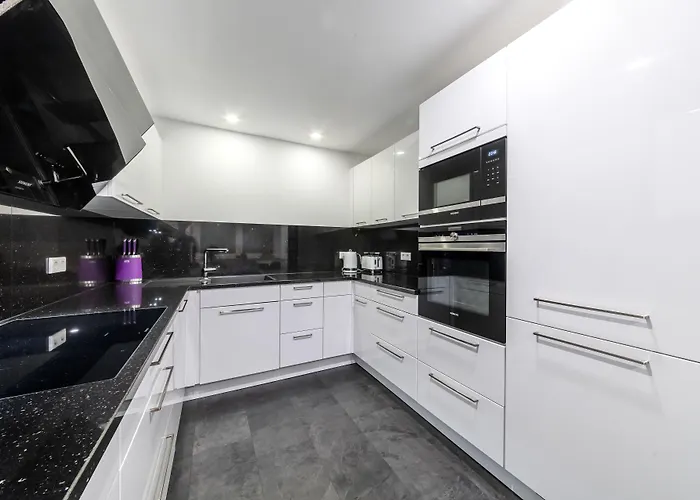 Pmc Business Apartmán Rüsselsheim